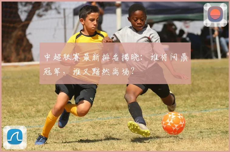 中超联赛最新排名揭晓:谁将问鼎冠军,谁又黯然离场?